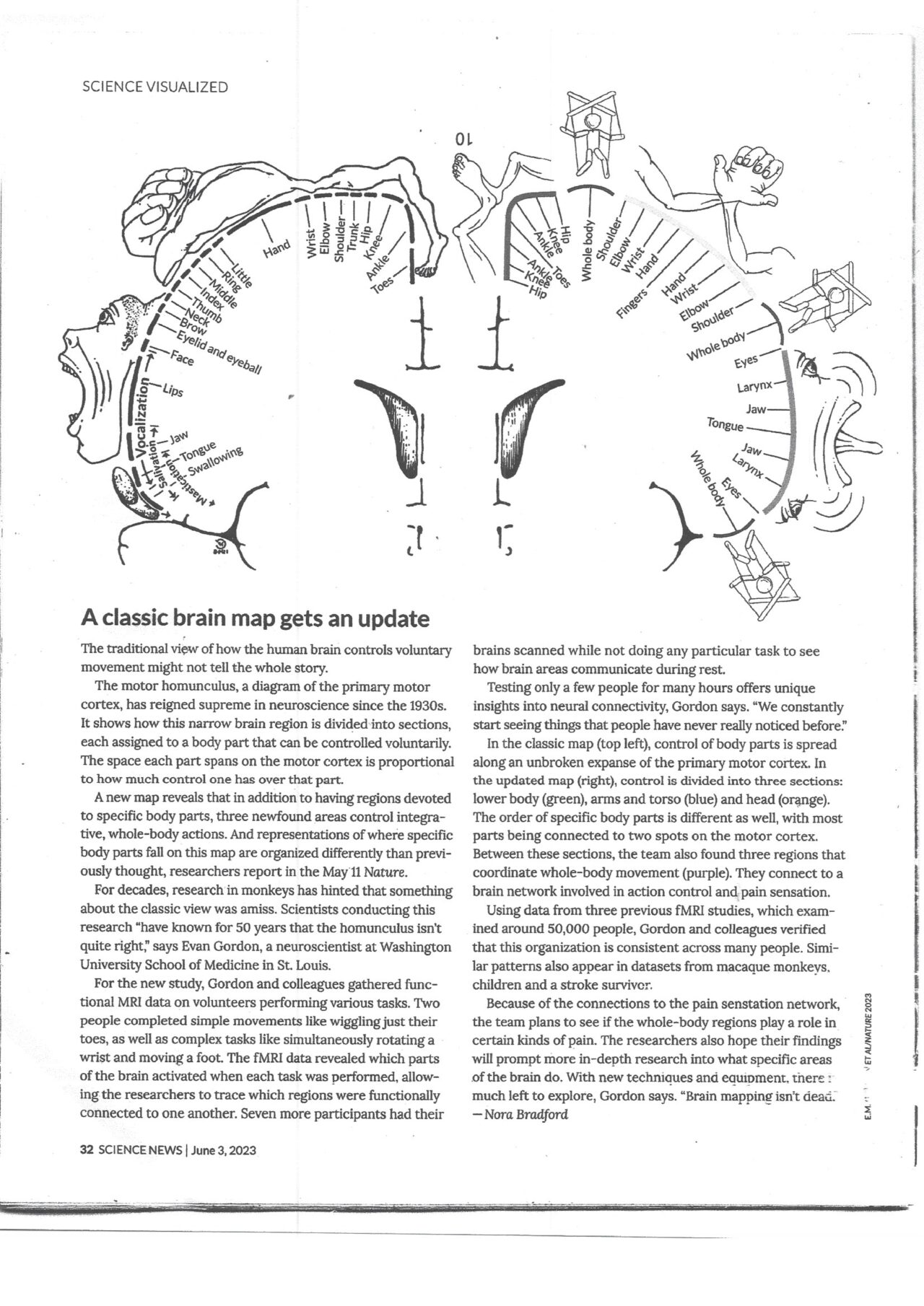 science-visualized-mind-care-center